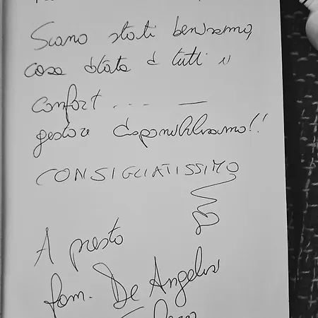 Appartement Nino Palau