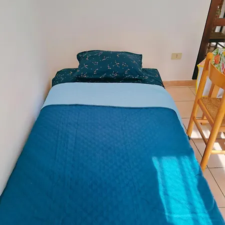 Apartment Nino Palau