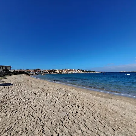 Nino Palau
