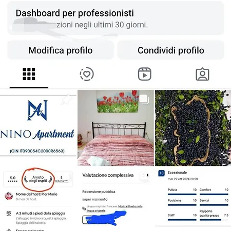 Nino Palau